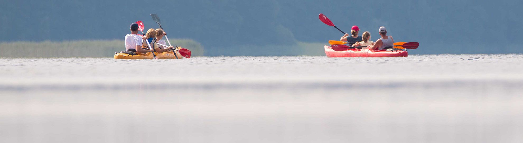 Familienausflug in den Müritz-Nationalpark
