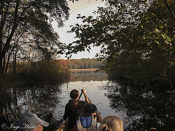 mit dem Kanu durch den Müritz-Nationalpark