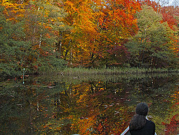 so ist der Herbst in Mecklenburg 